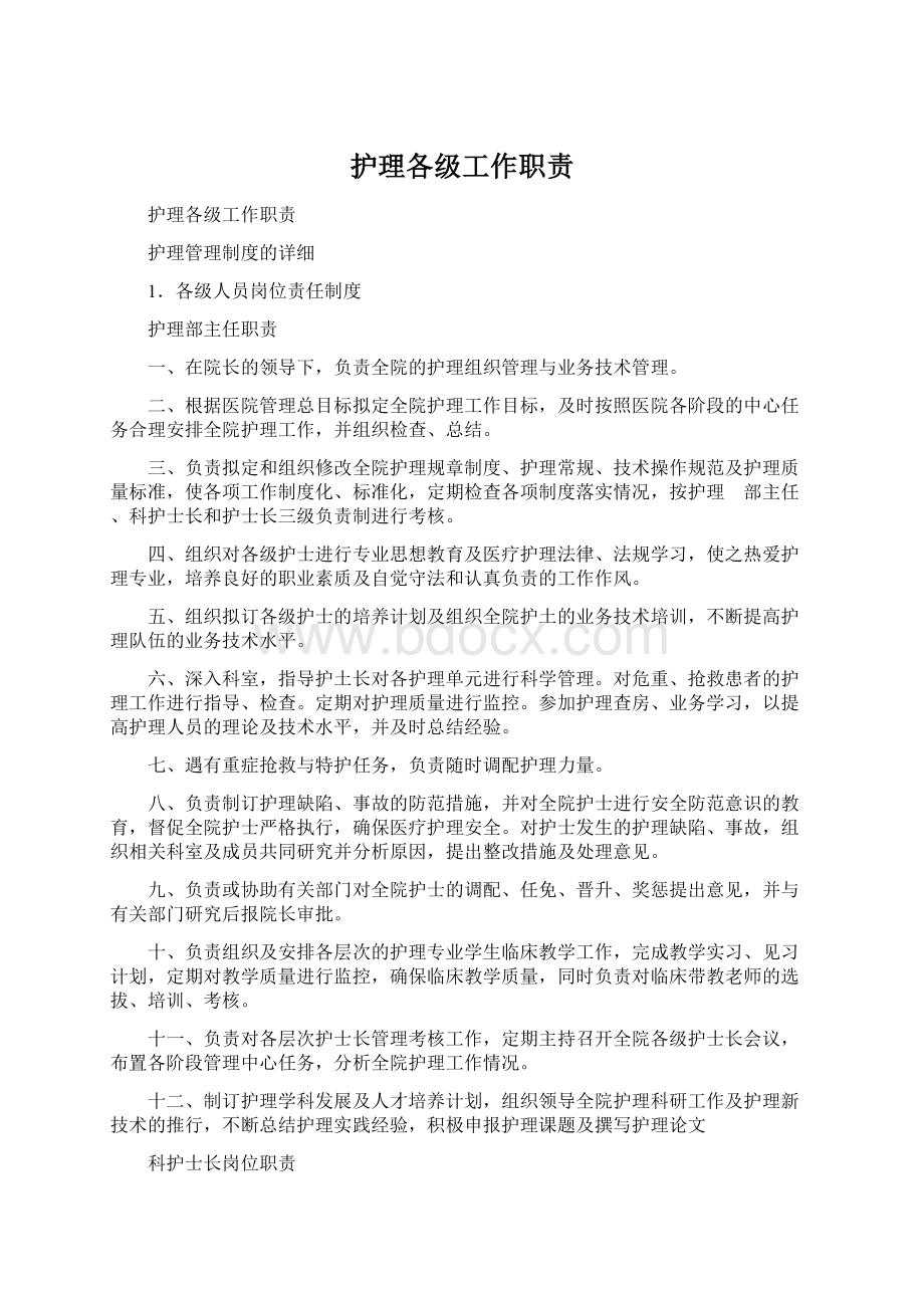 护理各级工作职责文档格式.docx