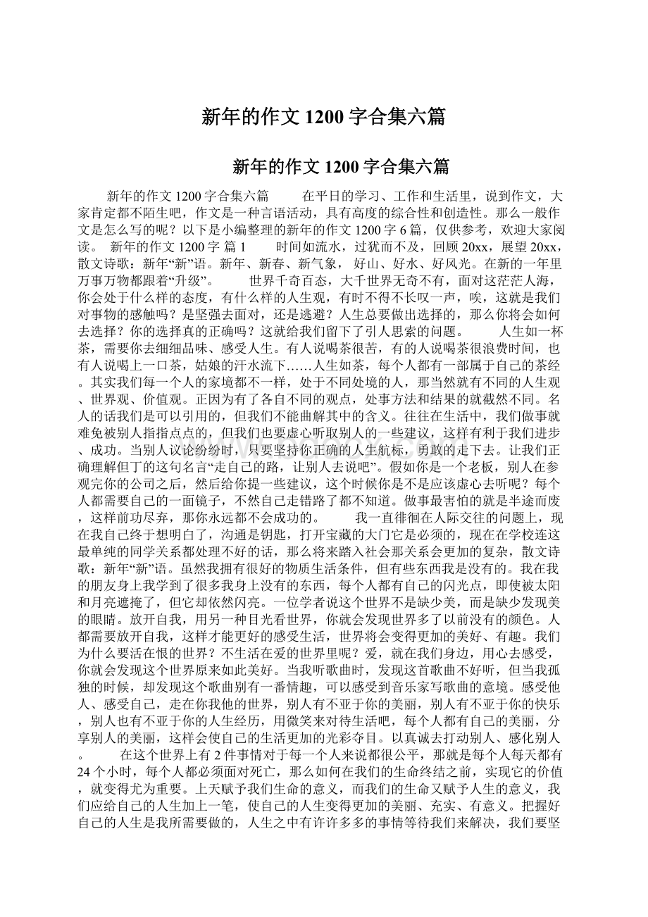 新年的作文1200字合集六篇.docx