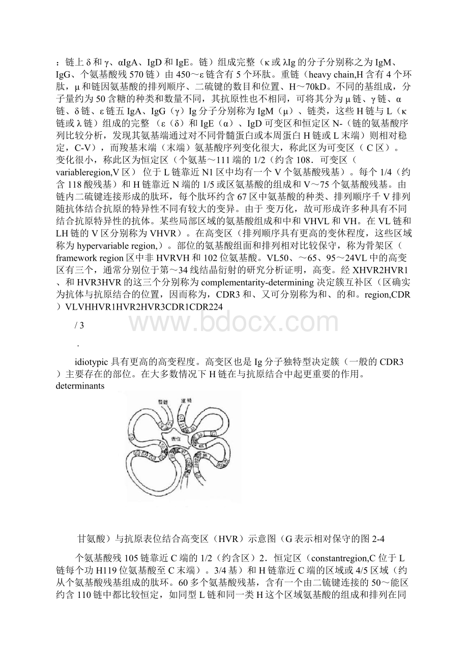 抗体的基本结构Word文档下载推荐.docx_第3页