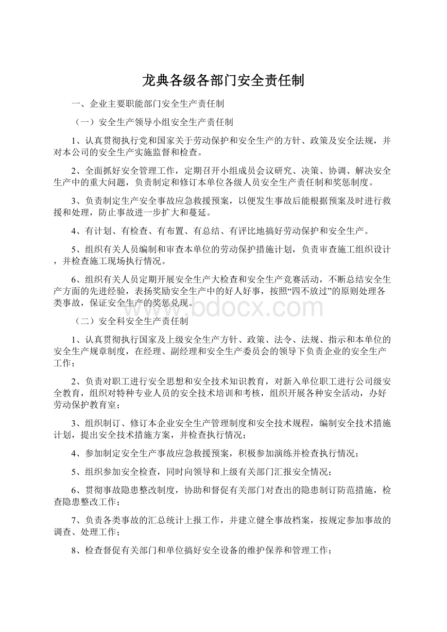 龙典各级各部门安全责任制.docx