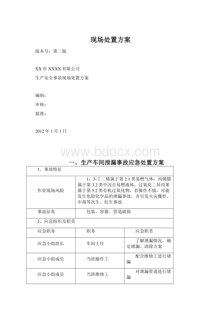 现场处置方案Word格式.docx