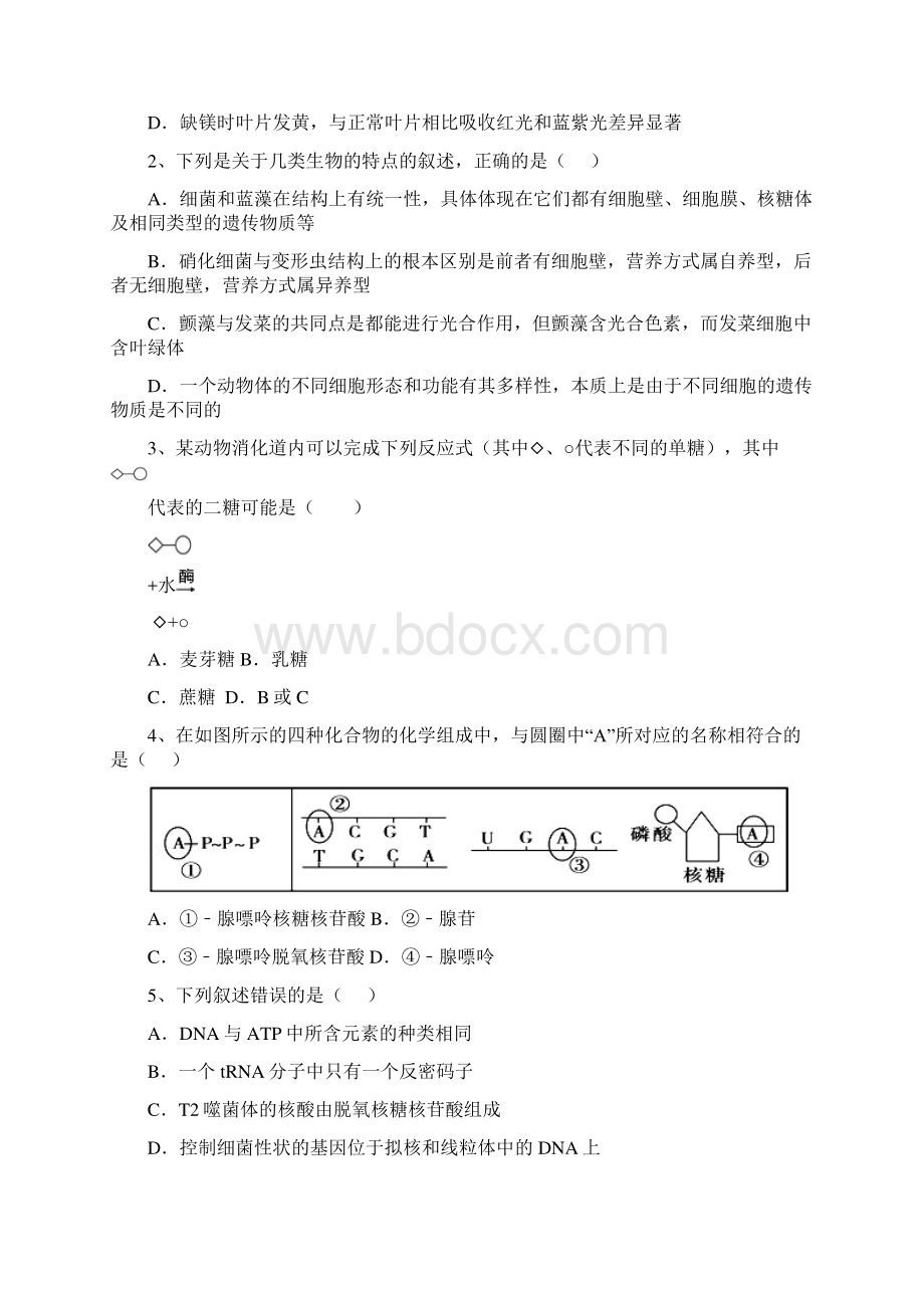 重点高中生物高考选择题专项训练1120Word下载.docx_第3页