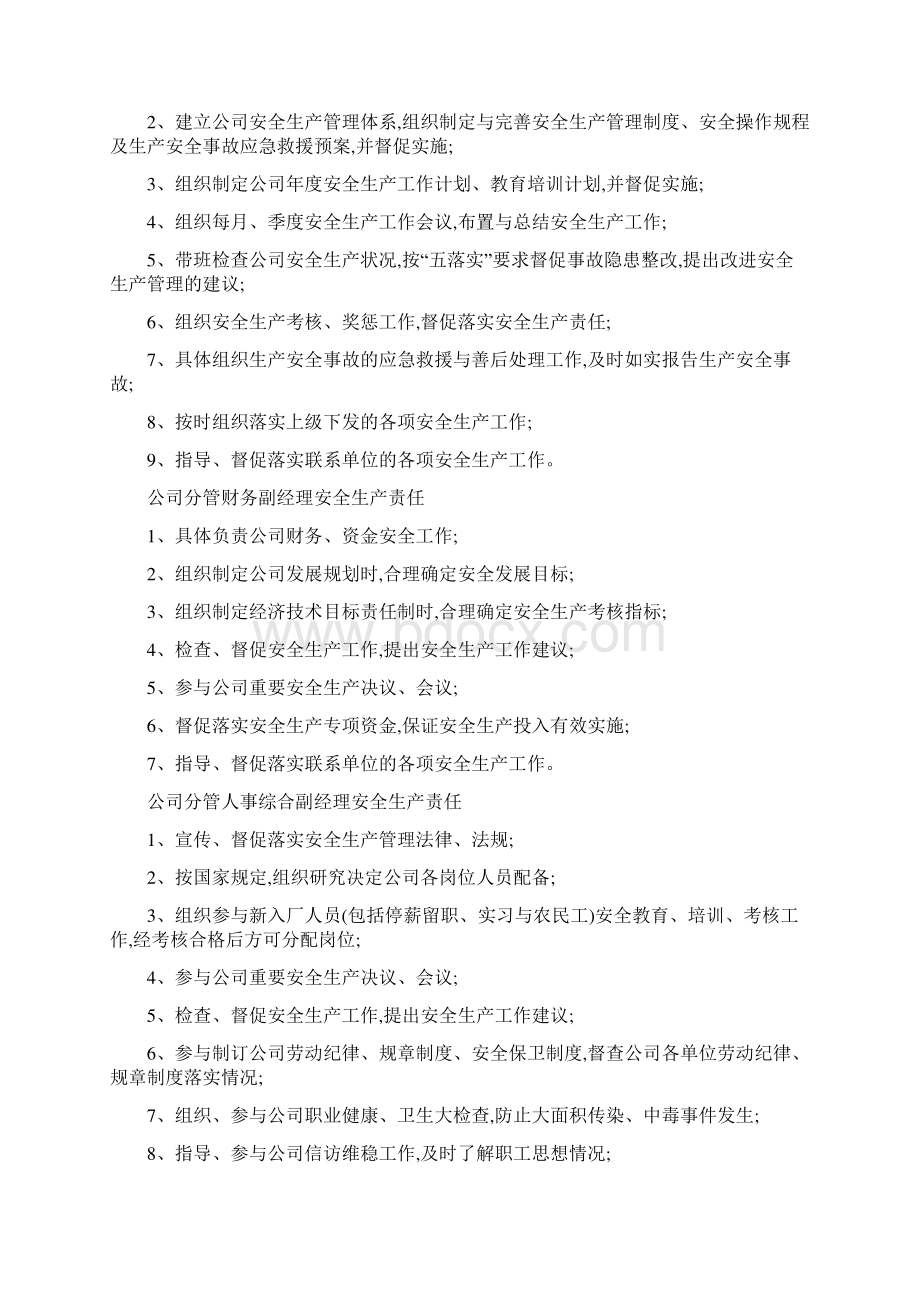 水电站安全责任清单文档格式.docx_第2页