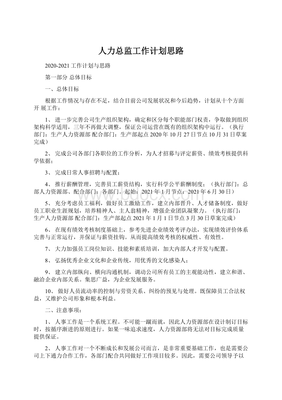 人力总监工作计划思路.docx