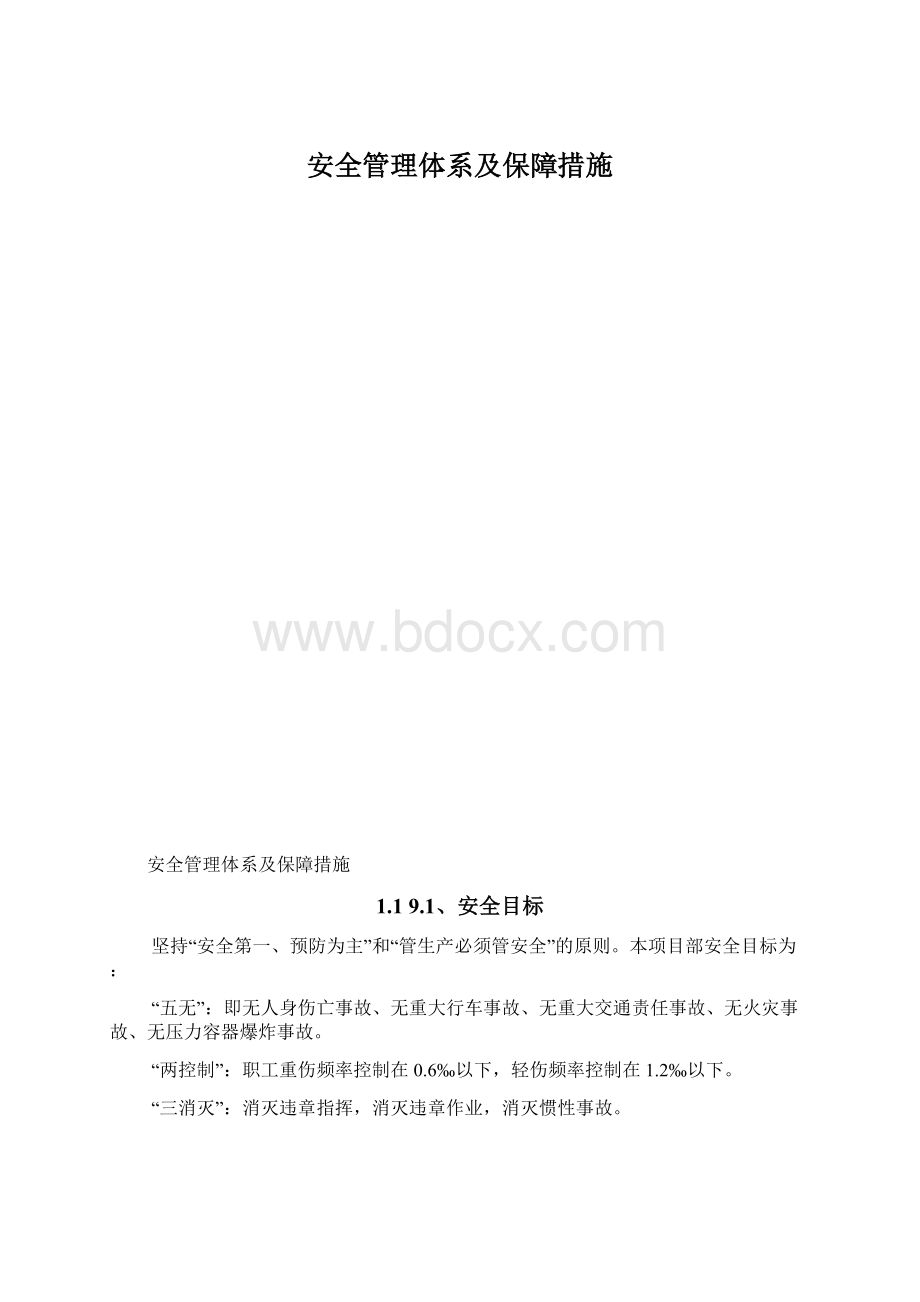 安全管理体系及保障措施.docx_第1页