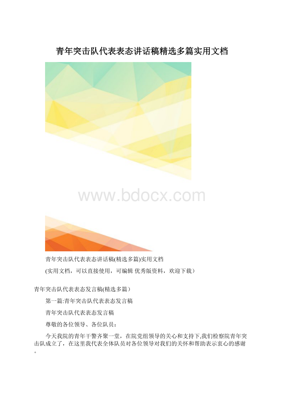 青年突击队代表表态讲话稿精选多篇实用文档.docx