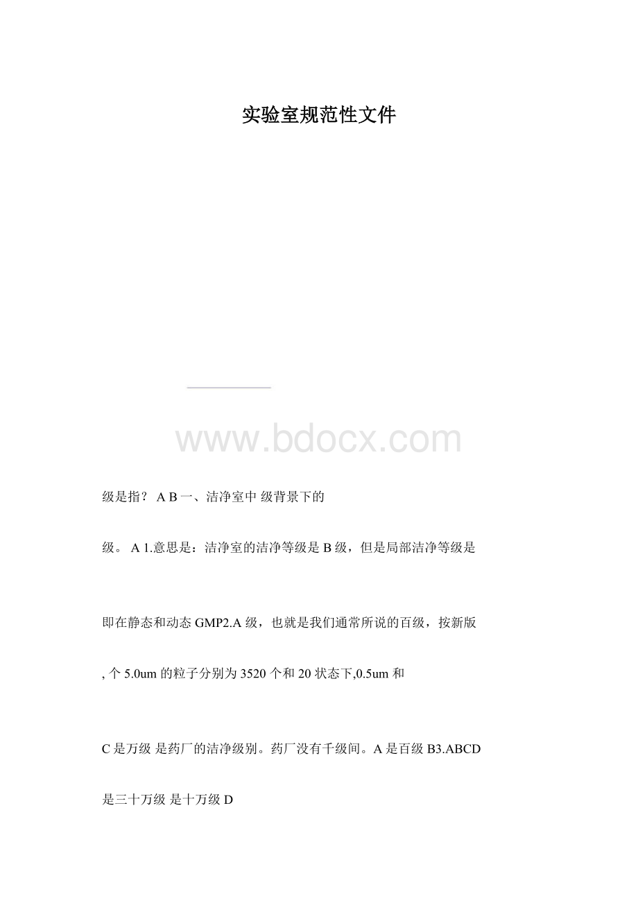 实验室规范性文件文档格式.docx