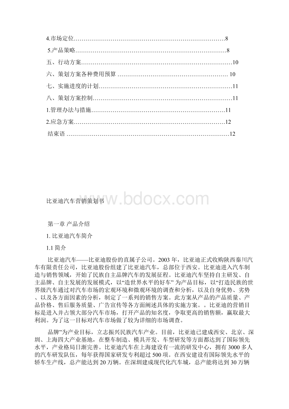 比亚迪营销策划书终极版Word格式文档下载.docx_第2页