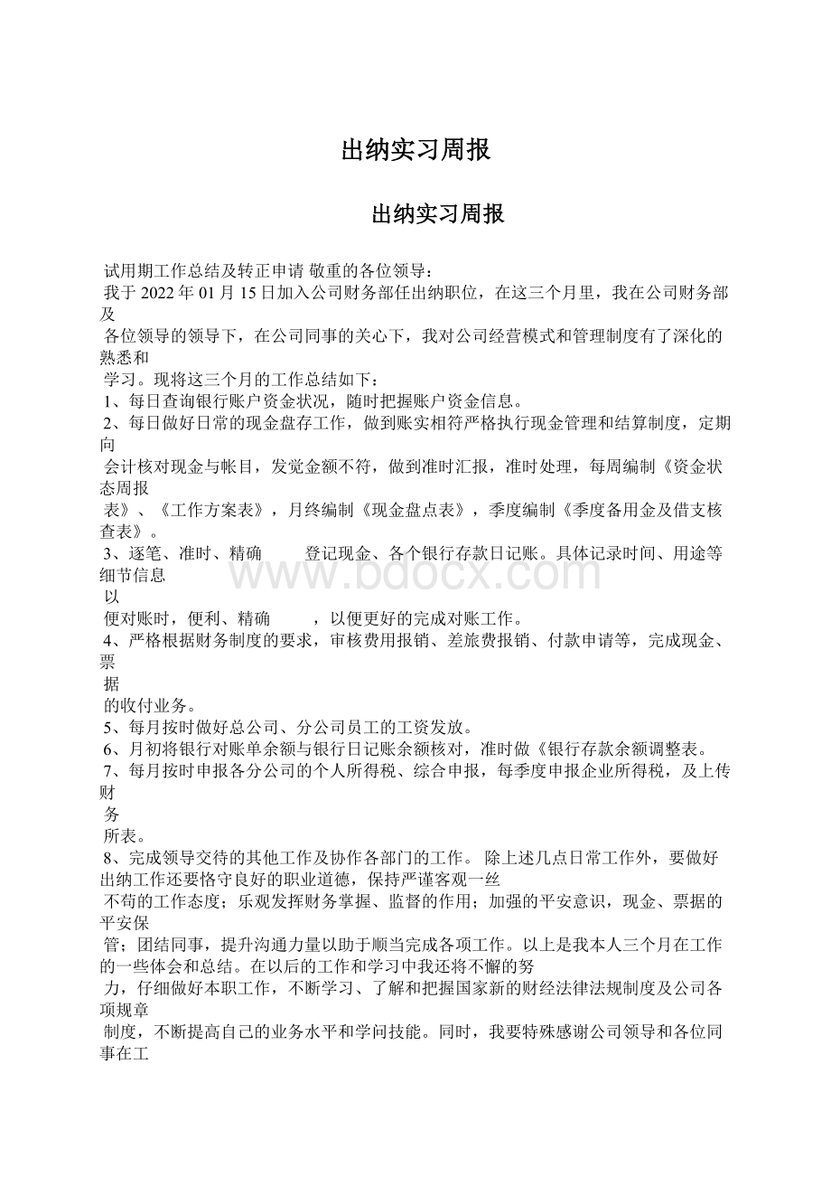 出纳实习周报Word格式文档下载.docx