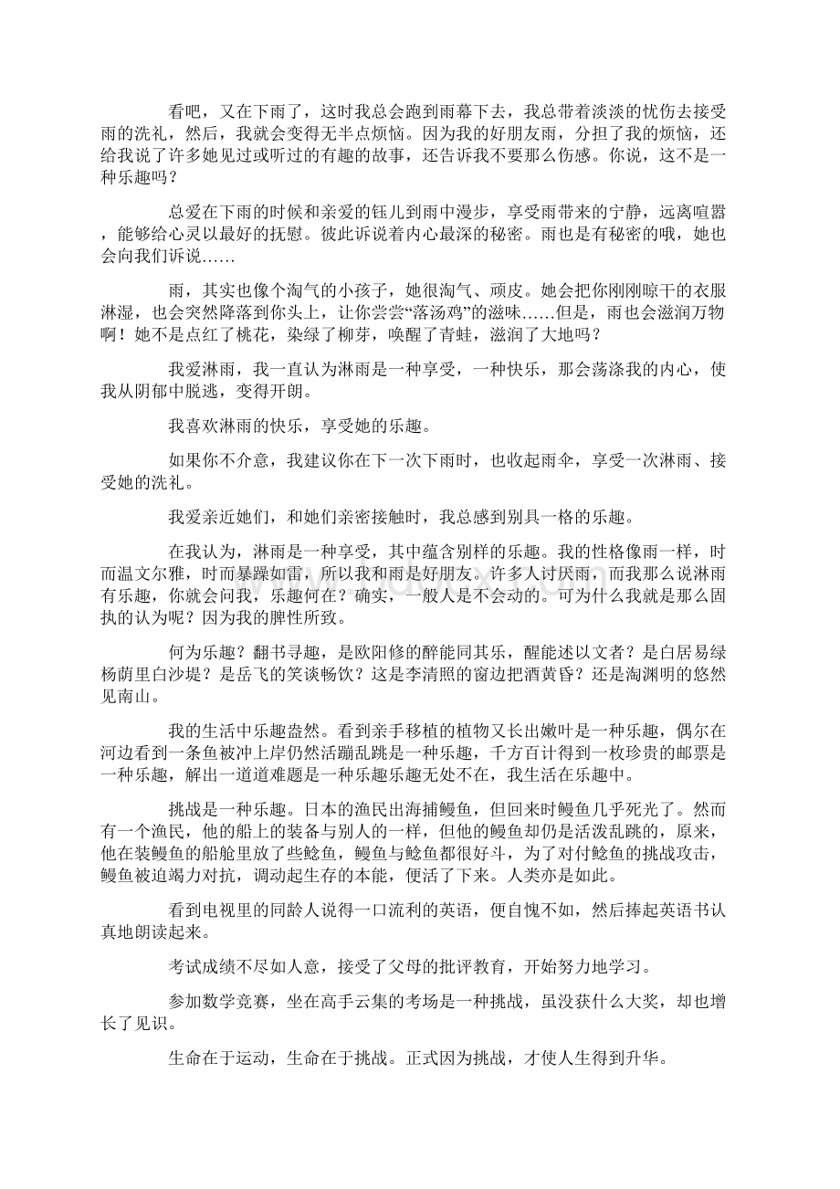 关于乐趣的作文范文八篇.docx_第2页