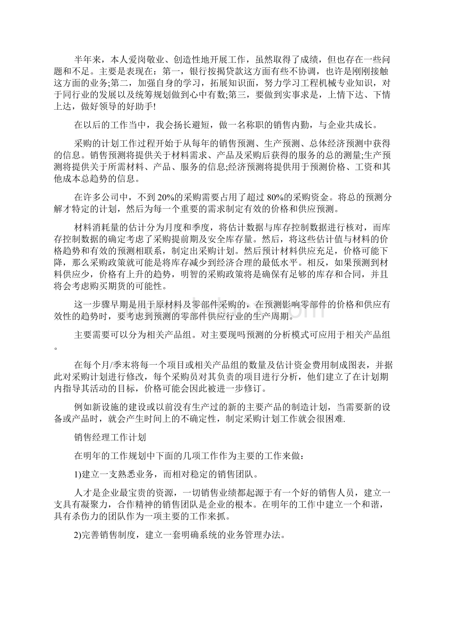 销售工作总结计划报告文档格式.docx_第2页