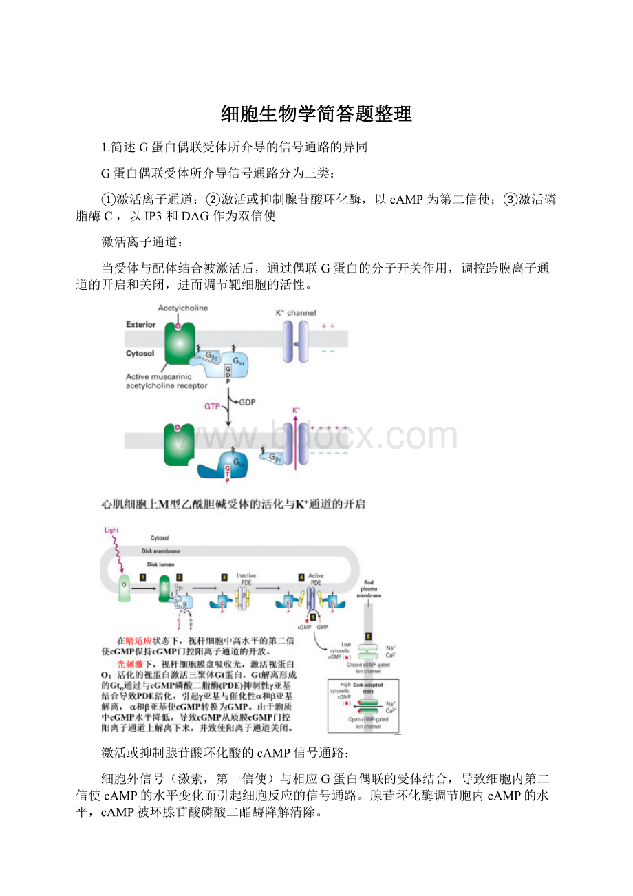 细胞生物学简答题整理.docx