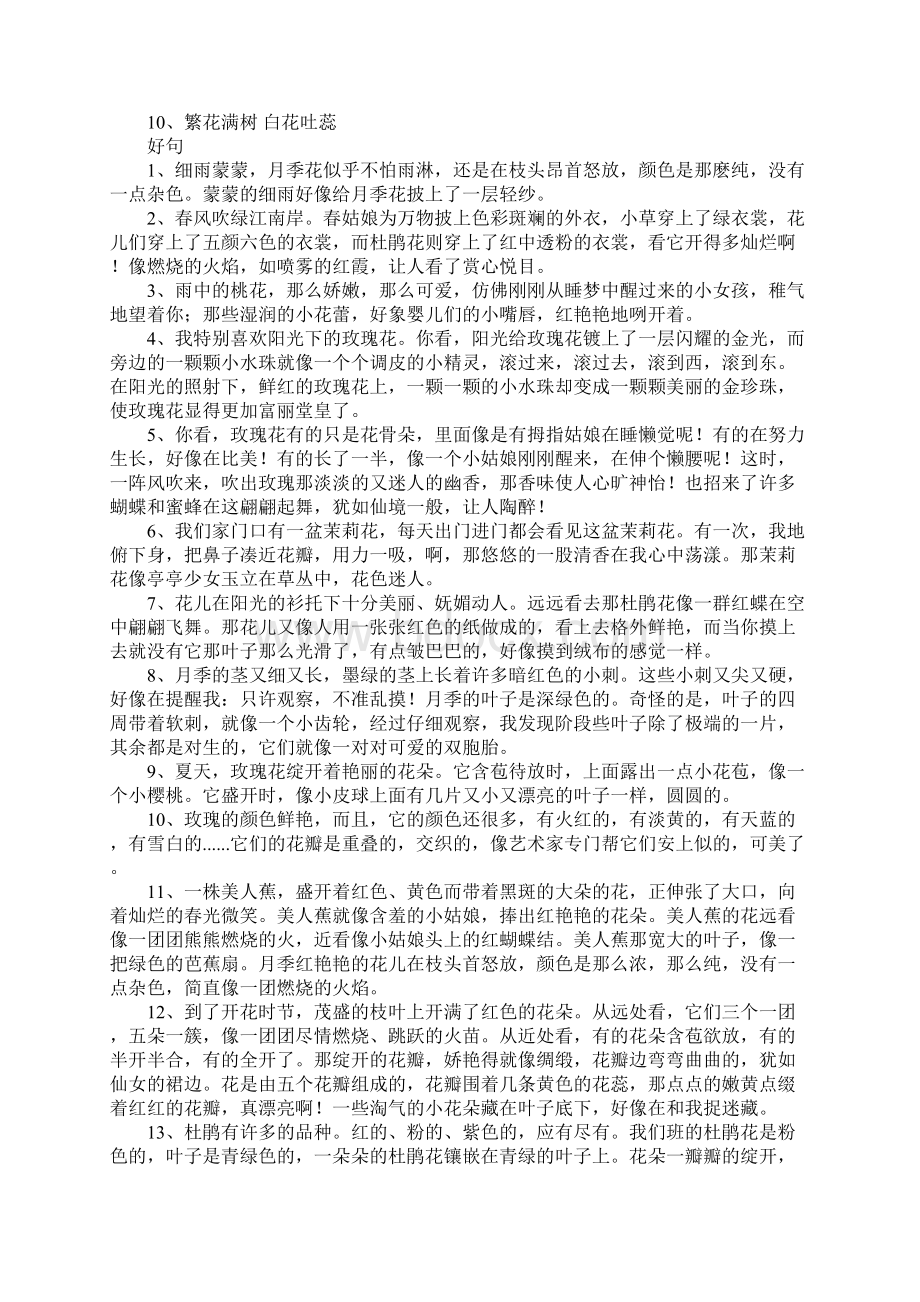 花的好词好句Word格式.docx_第2页