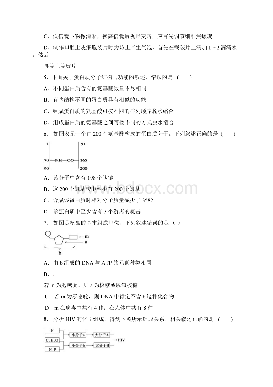 安徽省合肥市第一六八中学学年高一生物上学期期末考试试题.docx_第2页