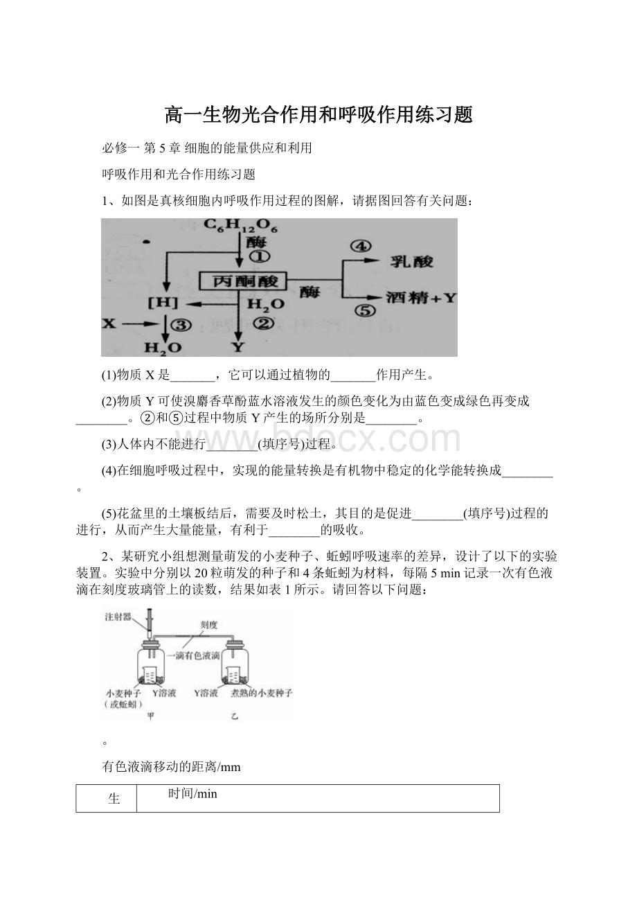 高一生物光合作用和呼吸作用练习题.docx_第1页