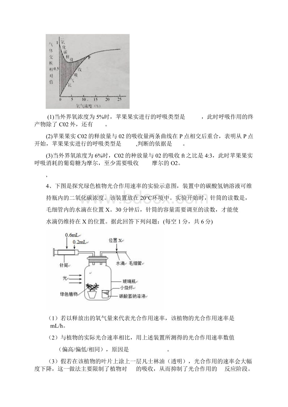 高一生物光合作用和呼吸作用练习题.docx_第3页