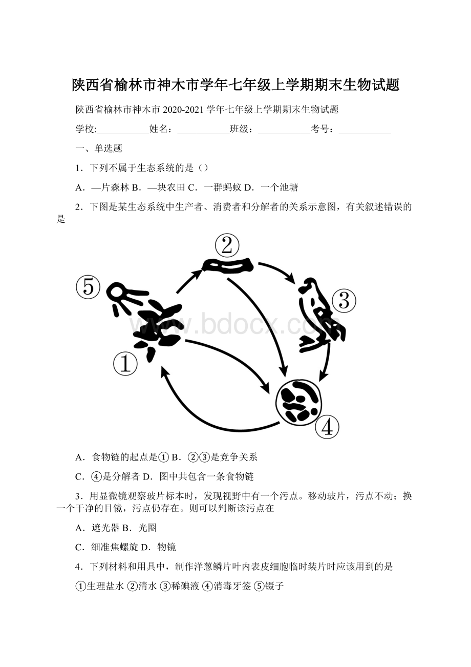 陕西省榆林市神木市学年七年级上学期期末生物试题.docx