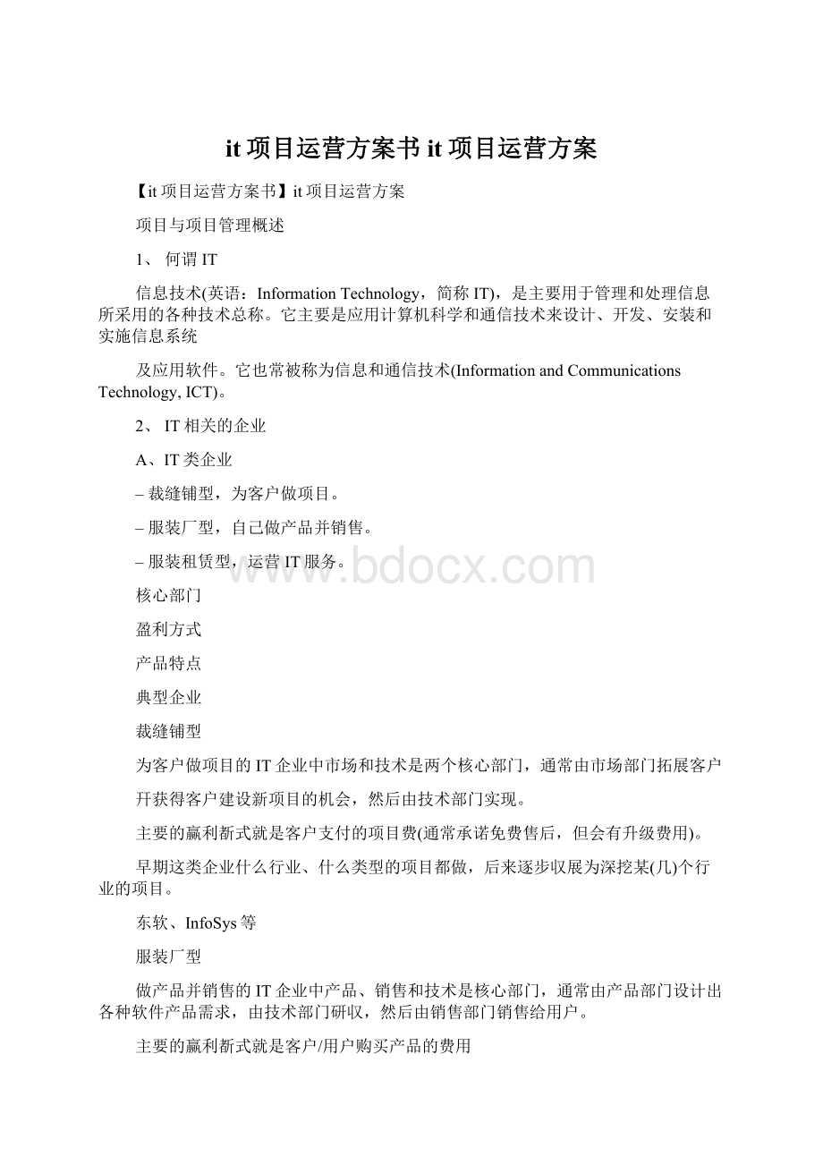 it项目运营方案书it项目运营方案Word下载.docx