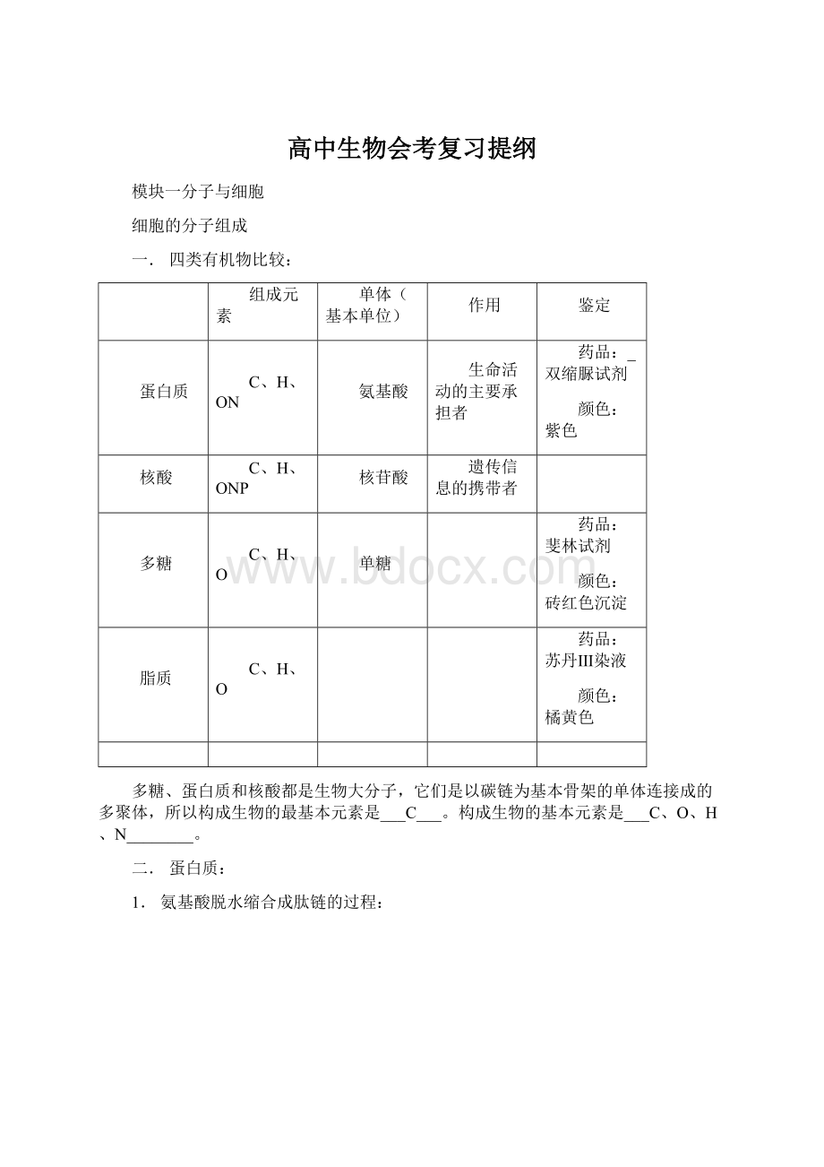 高中生物会考复习提纲.docx