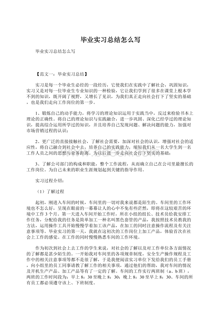 毕业实习总结怎么写文档格式.docx