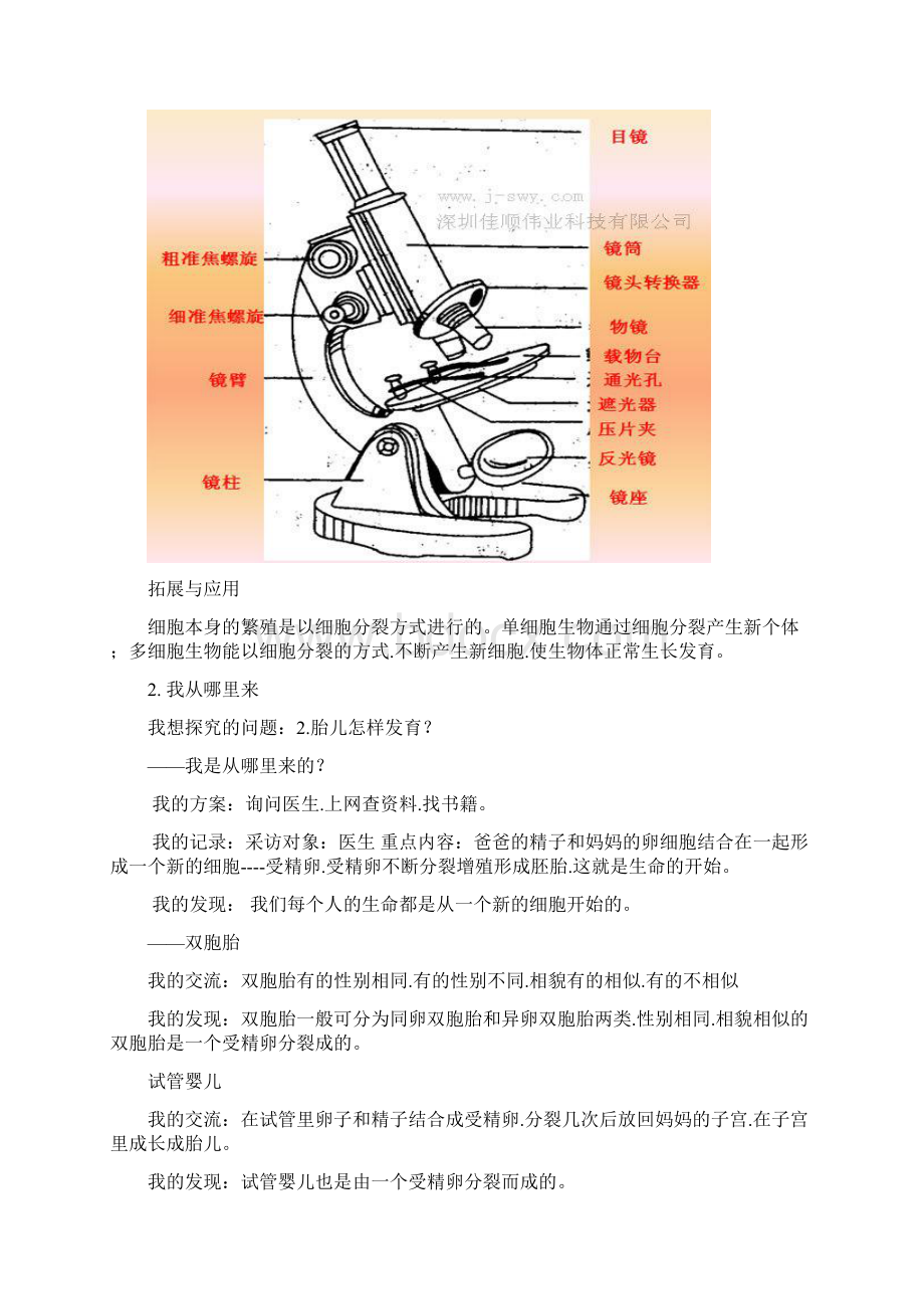 青岛版六年级下册科学基础训练答案全Word格式.docx_第2页