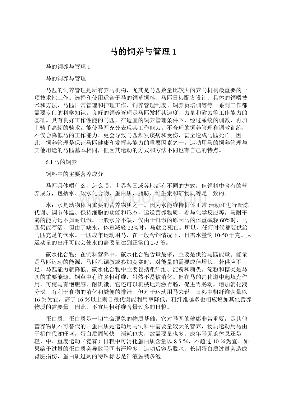 马的饲养与管理1Word格式文档下载.docx