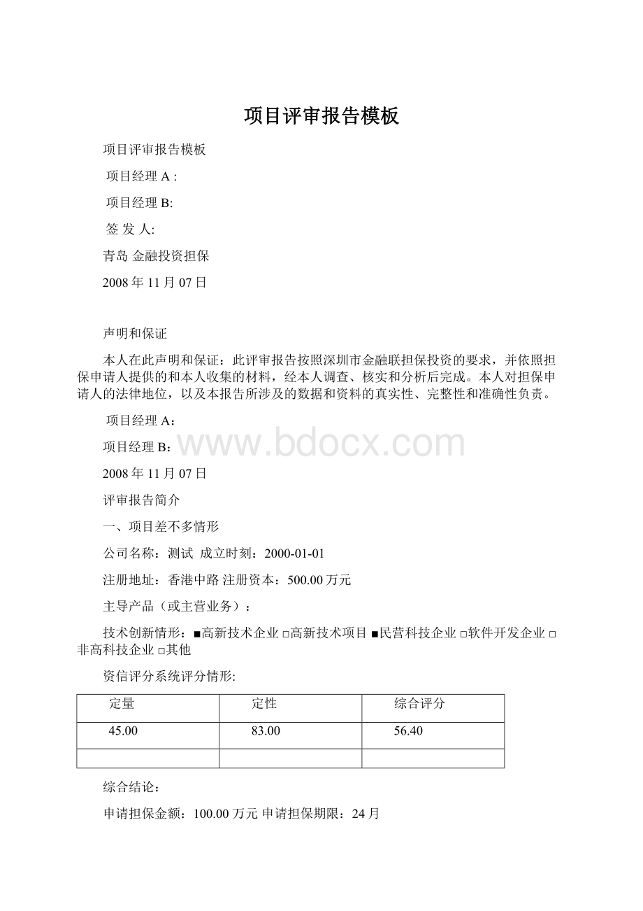 项目评审报告模板Word文件下载.docx_第1页