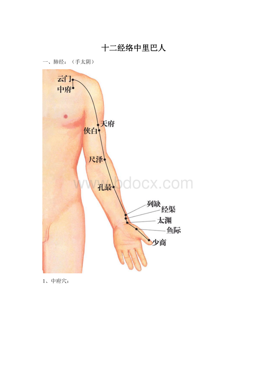 十二经络中里巴人文档格式.docx_第1页