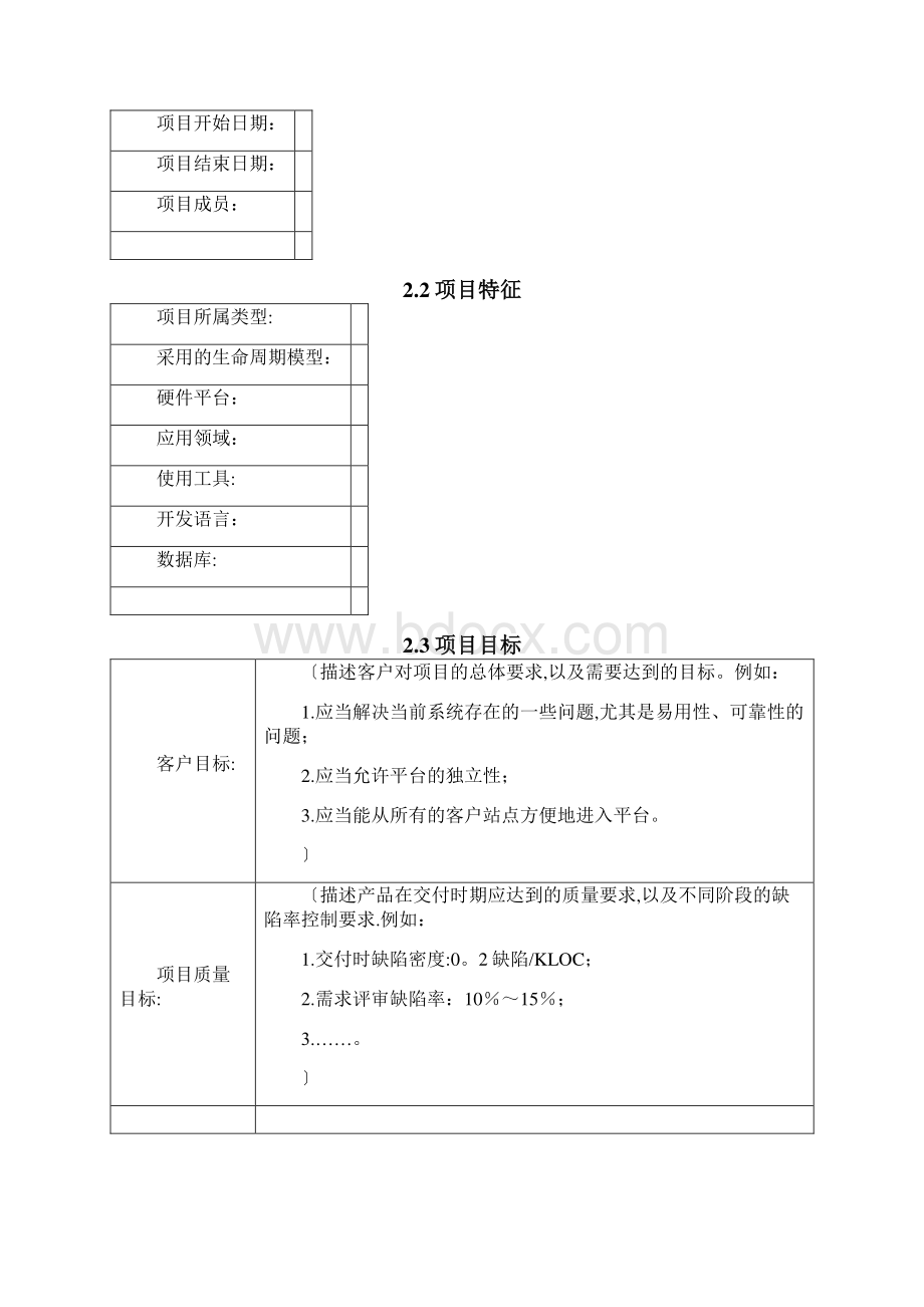 项目总结报告模板.docx_第3页