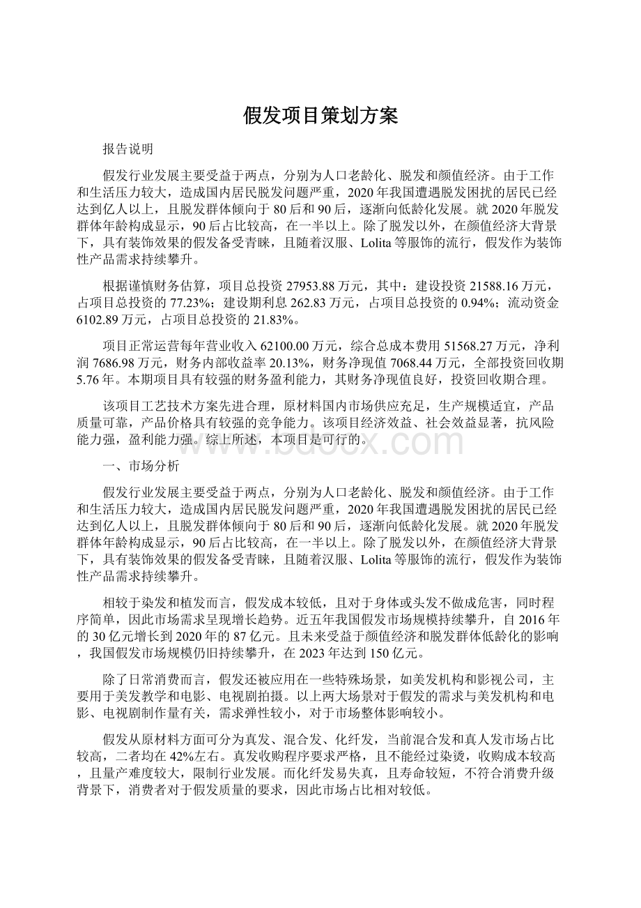 假发项目策划方案.docx_第1页