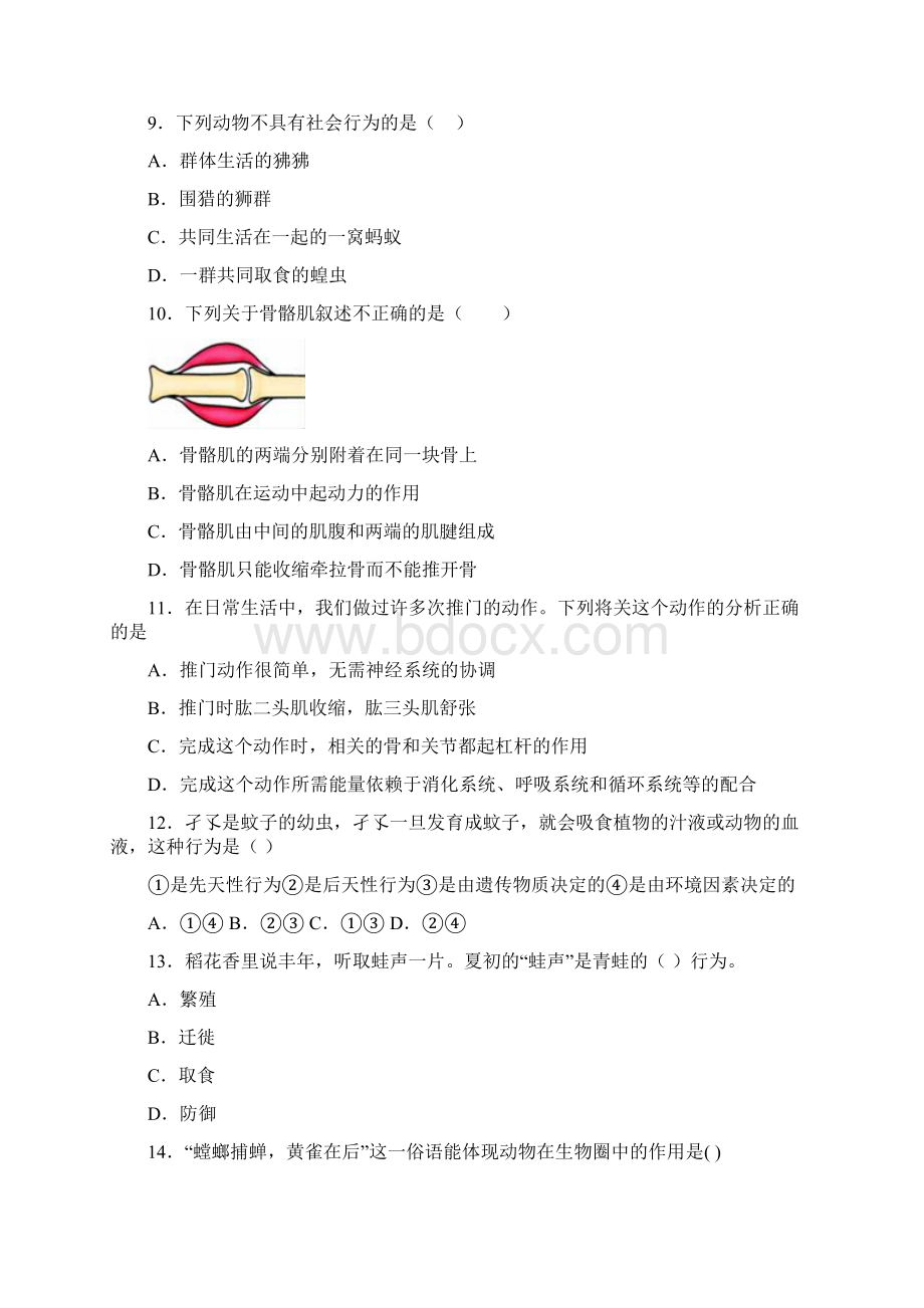 湖南省长沙一中师大附中长郡中学雅礼中学最新八年级上学期月考生物试题.docx_第3页