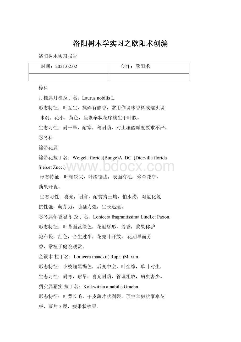 洛阳树木学实习之欧阳术创编.docx_第1页