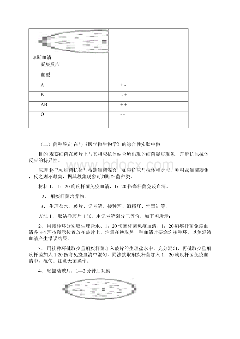 皖南医学院医学免疫学实验指导.docx_第3页