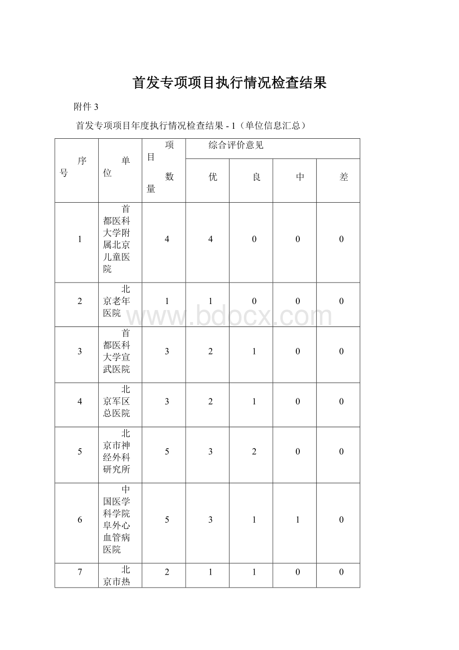 首发专项项目执行情况检查结果Word文档下载推荐.docx