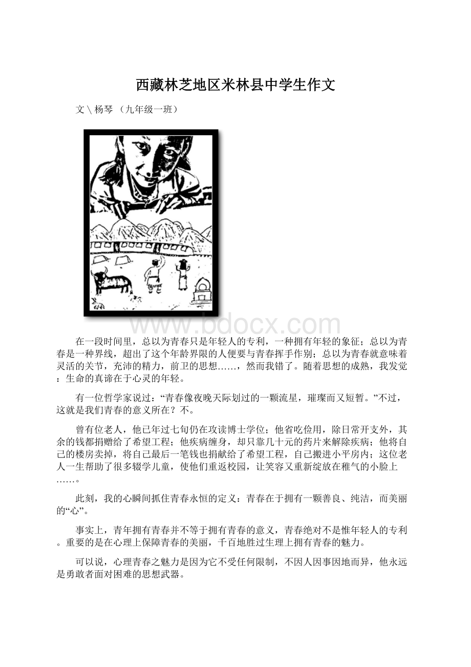 西藏林芝地区米林县中学生作文文档格式.docx