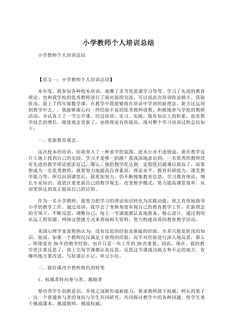 小学教师个人培训总结.docx