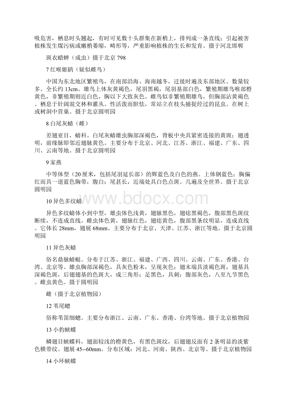 出现在镜头中的野生动物共17页.docx_第2页