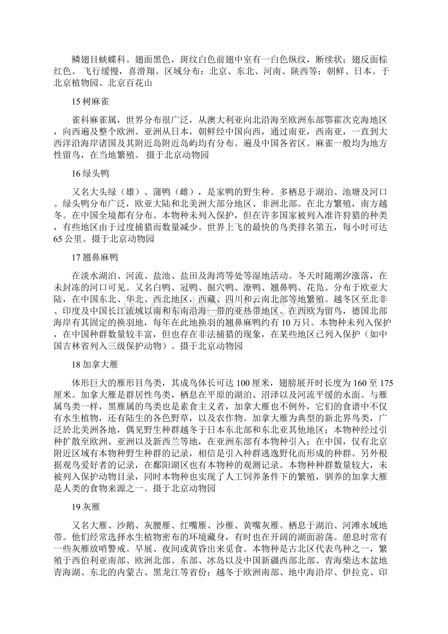 出现在镜头中的野生动物共17页.docx_第3页