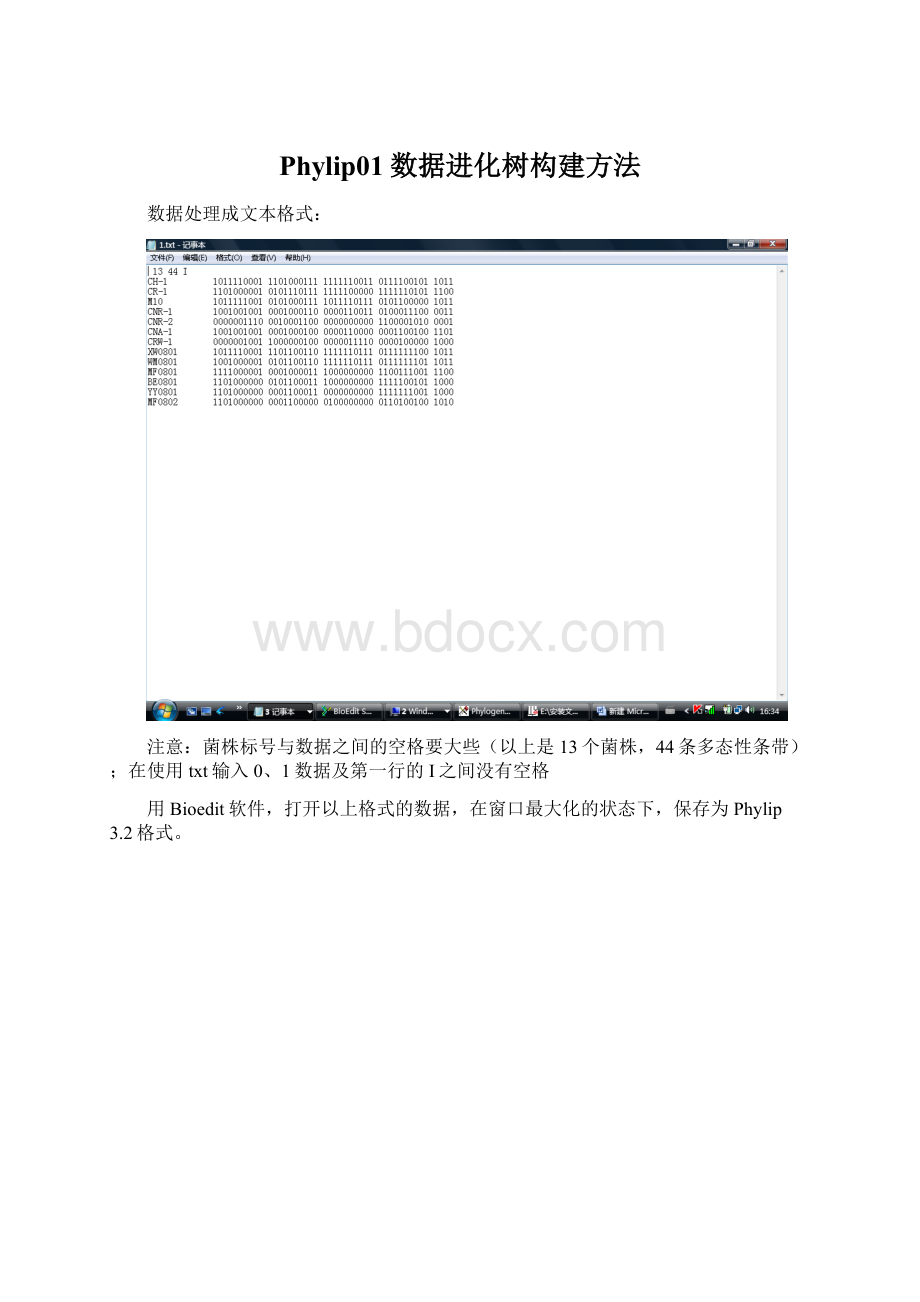 Phylip01数据进化树构建方法.docx