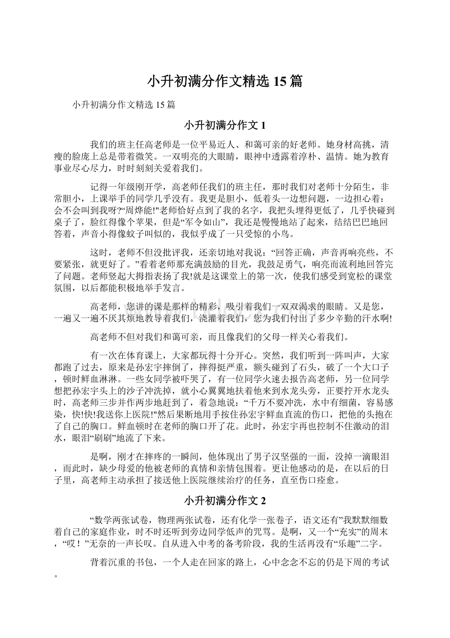 小升初满分作文精选15篇Word格式文档下载.docx