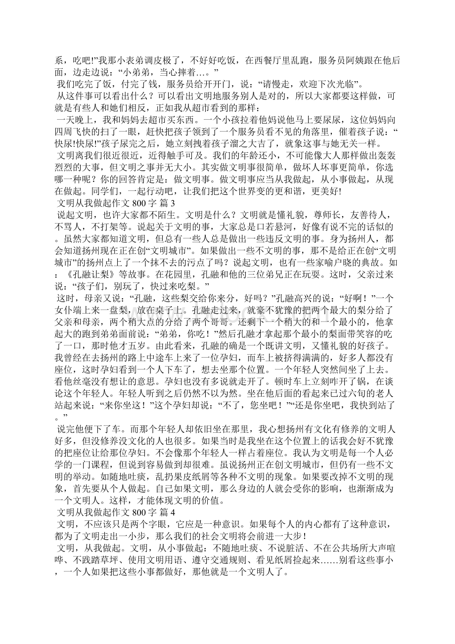 文明从我做起作文800字精选12篇.docx_第2页