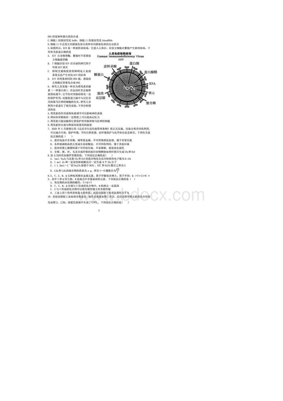 四川省成都七中届高三三诊理科综合试题含答案解析.docx_第2页