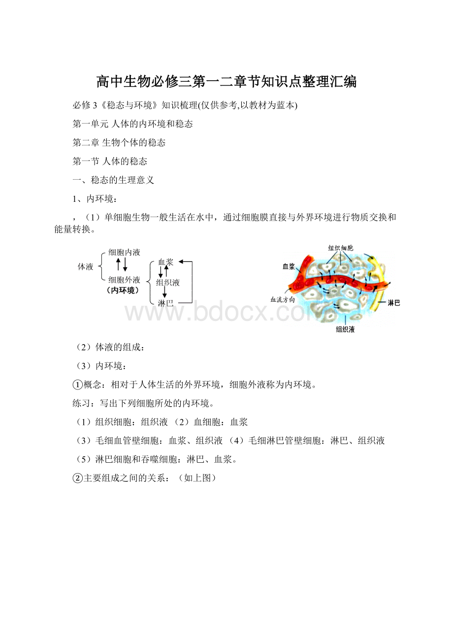 高中生物必修三第一二章节知识点整理汇编Word文件下载.docx