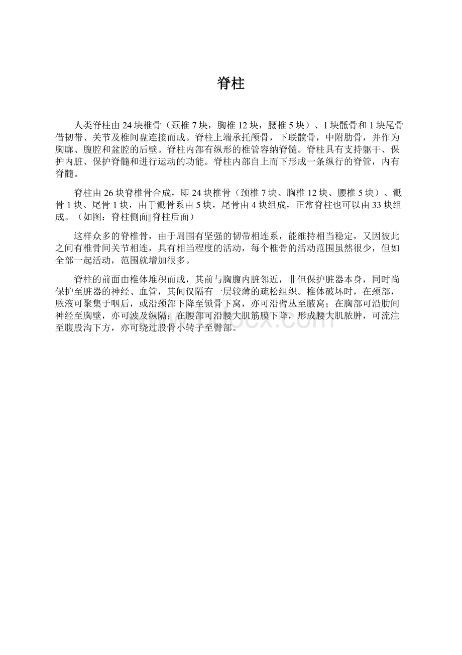 脊柱文档格式.docx_第1页