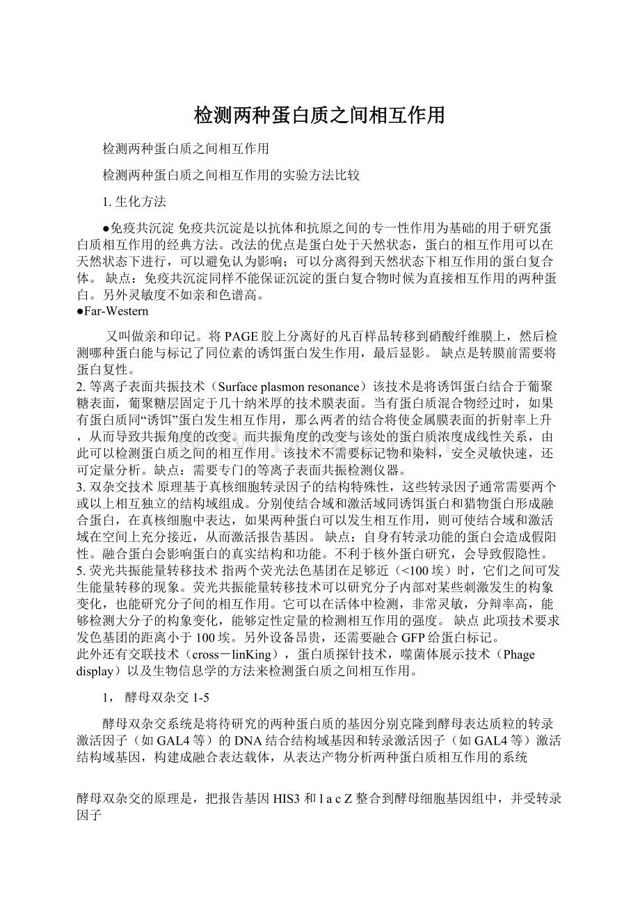 检测两种蛋白质之间相互作用文档格式.docx