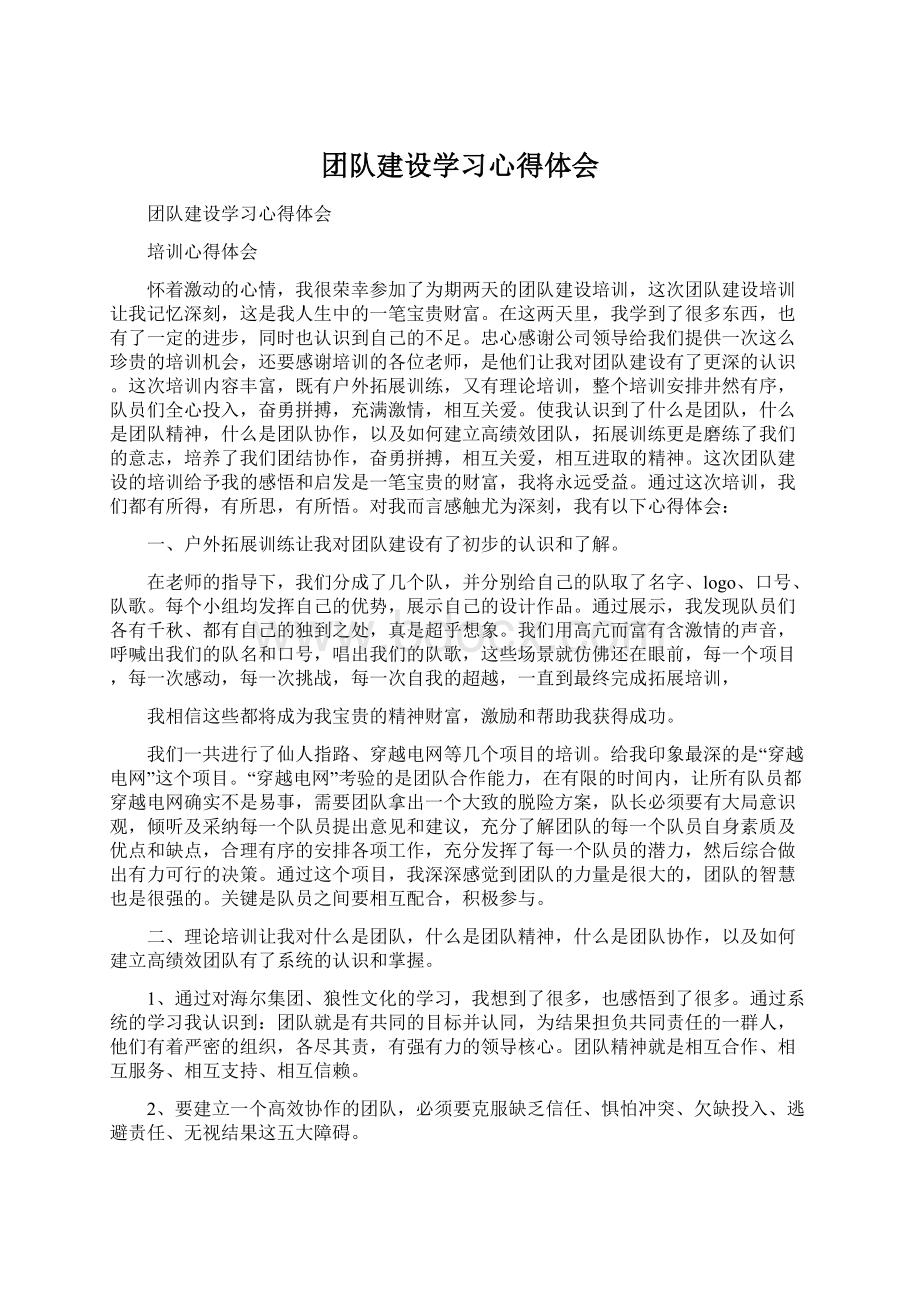 团队建设学习心得体会.docx_第1页