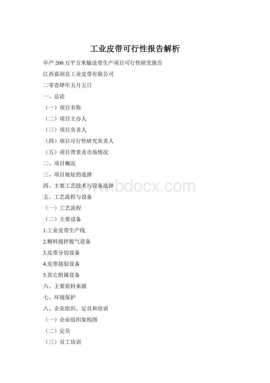 工业皮带可行性报告解析.docx_第1页