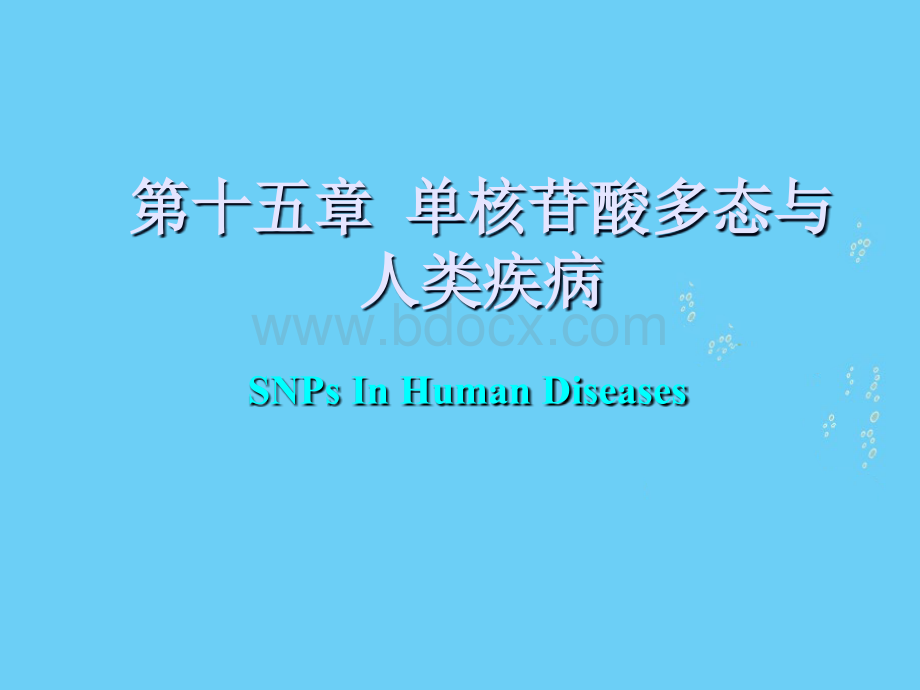 医学专业中生物信息学的传递.ppt