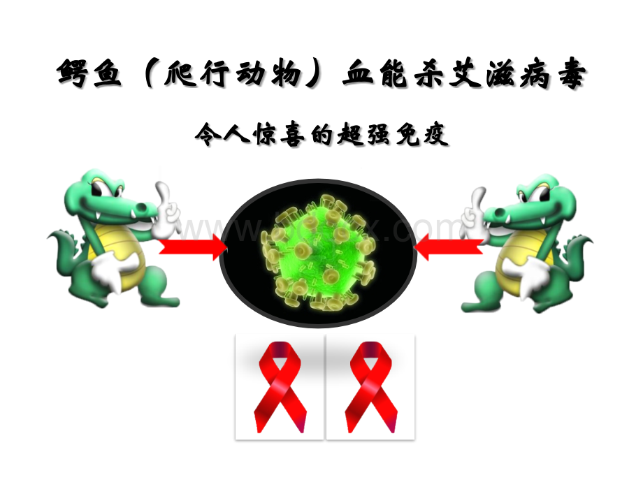 爬行动物的免疫PPT推荐.pptx_第2页