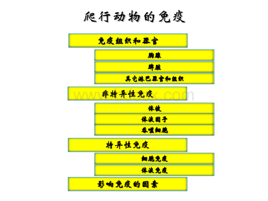 爬行动物的免疫PPT推荐.pptx_第3页